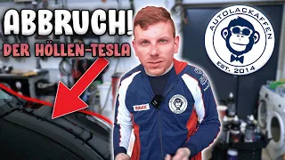 Niko quits - This Tesla drives him to despair | AUTOLACKAFFEN