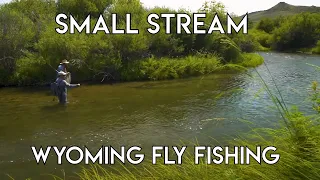 Small Stream Fly Fishing | Sheridan Wyoming