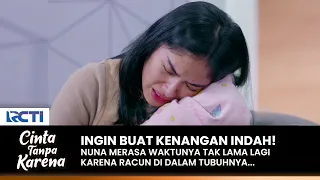 SUDAH SIAP MATI! Nuna Ingin Buat Kenangan Indah Dengan Keluarga | CINTA TANPA KARENA | EPS 450 (1/3)