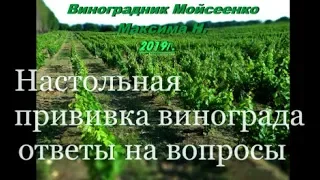 Настольная прививка винограда - ответы на вопросы.