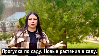 Прогулка по саду, новые растения.