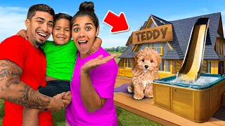 We Built Teddy A DREAM Dog House!