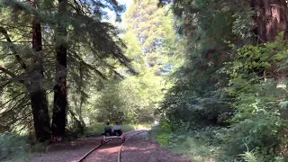 Rail bikes on the Noyo