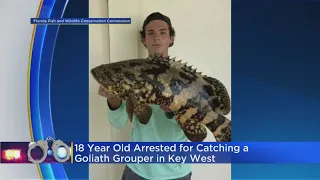 18-Year-Old Arrested For Catching Goliath Grouper In Key West