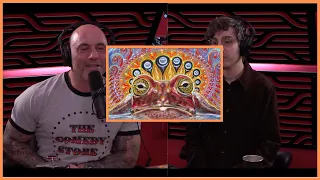 Hamilton Morris Shares His DMT Experience🤯 | Joe Rogan Clips