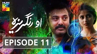 O Rungreza Episode #11 HUMTV Drama