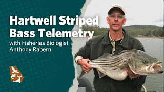 Lake Hartwell Striped Bass Telemetry Presentation