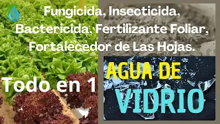 Fungicida, Bactericida, Insecticida, Fertilizante Foliar y Fortalecedor de las hojas de tus Plantas.