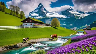 🇨🇭 🌸MOST BEAUTIFUL HEAVENLY VILLAGES | LAUTERBRUNNEN AND MURREN | SWITZERLAND | 4K HDR