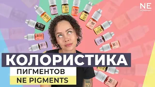 Вебинар: Выбор пигмента. Брови