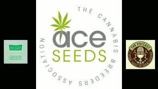 Episode 56 ft Dubi of ACE seeds - 22/06/21 - The Pot Cast