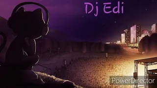 Illenium & Said The Sky ft.Jeza - In Your Wake (Lyrics)♫Dj Edi♫