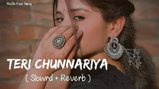 🎧Slowed and Reverb Songs | Teri Chunnariya Dil le Gayee | RAJIB 801