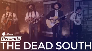 The Dead South| Live at The Orchard