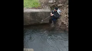 Household Fishing Challenge PA Trout Opener 2024 Parody Video