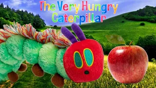 Best of Eric Carle Books | Compilation | Hungry Caterpillar, Polar Bear, Sing Along, and more