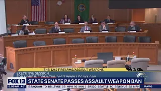 Washington Senate votes to ban sale of assault weapons weeks after House approves measure