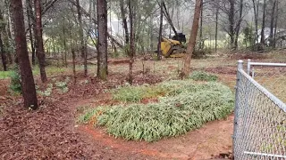 Starting the Subdivision Farm - Mulching Machine Clearing the land Day 1