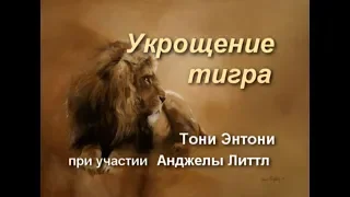 #1 Аудиокнига "Укрощение тигра" Тони Энтони Часть 1 и3 2