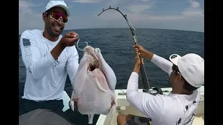 Goliath Grouper Grocery Challenge; Turkey!