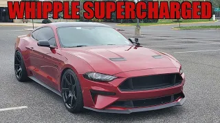 2019 Mustang GT Whipple SUPERCHARGED is RIDICULOUSLY FAST!!