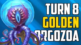 TURN 8 GOLDEN ORGOZOA | Hearthstone Battlegrounds Nagas