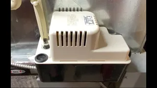 How To Fully Diagnose and Fix your AC Condensate Pump