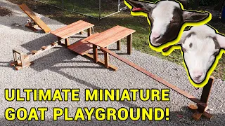 I made an awesome playground for my miniature goats