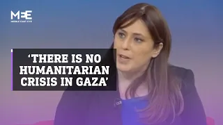 Israeli ambassador to the UK says that there is no humanitarian crisis in Gaza