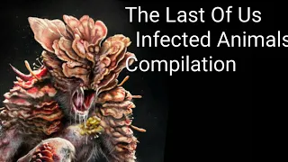 The Last of Us Infected Animals Compilation