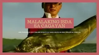 Mga isdang mas malaki pa sa tao, nahuhuli sa Cagayan | Born To Be Wild