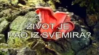 Na Rubu Znanosti - Zivot