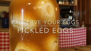 THE BEST PICKLED EGGS RECIPE - EASY EGG PRESERVATION METHOD