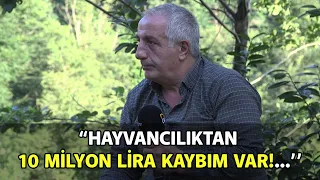 "Hayvancılıktan 10 Milyon Lira Kaybım Var!..."