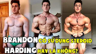 Ngực TO để làm gì!? BRANDON Harding của các thanh niên đây nhá | SmallGym