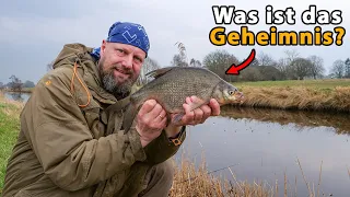 Matze Koch: Friedfischangeln im Frühjahr + Gewinnspiel | Spezial Boilies für preisbewusste Angler