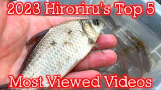 [2023] Hiroriru's Top 5 Most Viewed Videos