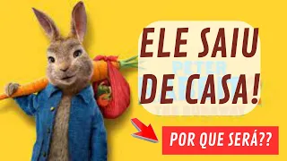 ELE SAIU DE CASA! - FILME PETER RABBIT 2: O FIM DA AVENTURA