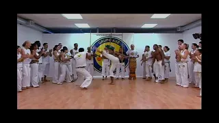 Axé Capoeira | Performance Roda