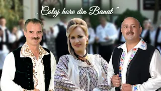 Petrica Miulescu Irimica ❌ Mirela Petrean ❌ Nicu Novac ❌ Florin Ionas Generalul - Colaj Banat