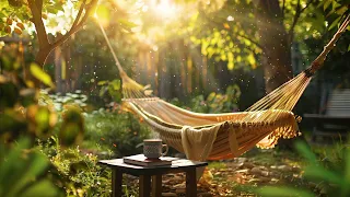 Perfect place to read and chill in a hammock at the Garden in the Morning light Ambience