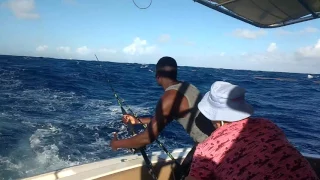 Рыбалка в Доминикане, барракуда