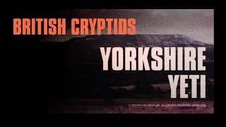 British Cryptids: Yorkshire Yeti