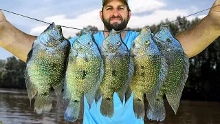 It's ILLEGAL To Keep These Fish Alive | Invasive Species Catch and Cook