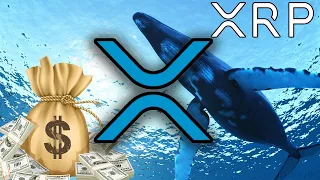 СМОТРИ!!! КОЛИЧЕСТВО КИТОВ XRP РАСТЕТ!!! КИТЫ ТАЙНО СКУПАЮТ РИПЛ 2021 RIPPLE ЖДИТЕ РОСТ ПРОГНОЗ