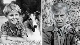 What Really Happened to Tommy Rettig, Jeff Miller from TV's Lassie?