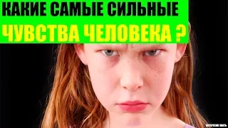 Какие самые сильные чувства человека?