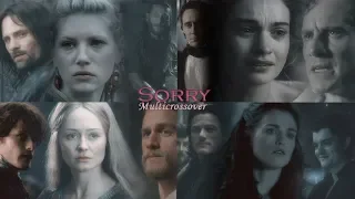 Sorry | Multicrossover (love triangles)