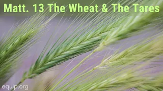 Parables of Jesus: The Parable of the Wheat and the Tares in Matthew 13