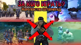 За кого играть на ролевом сервере WoW? (Обзор стражи, священников, официантов, магов)